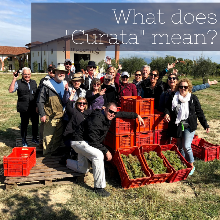 What does "Curata" mean?